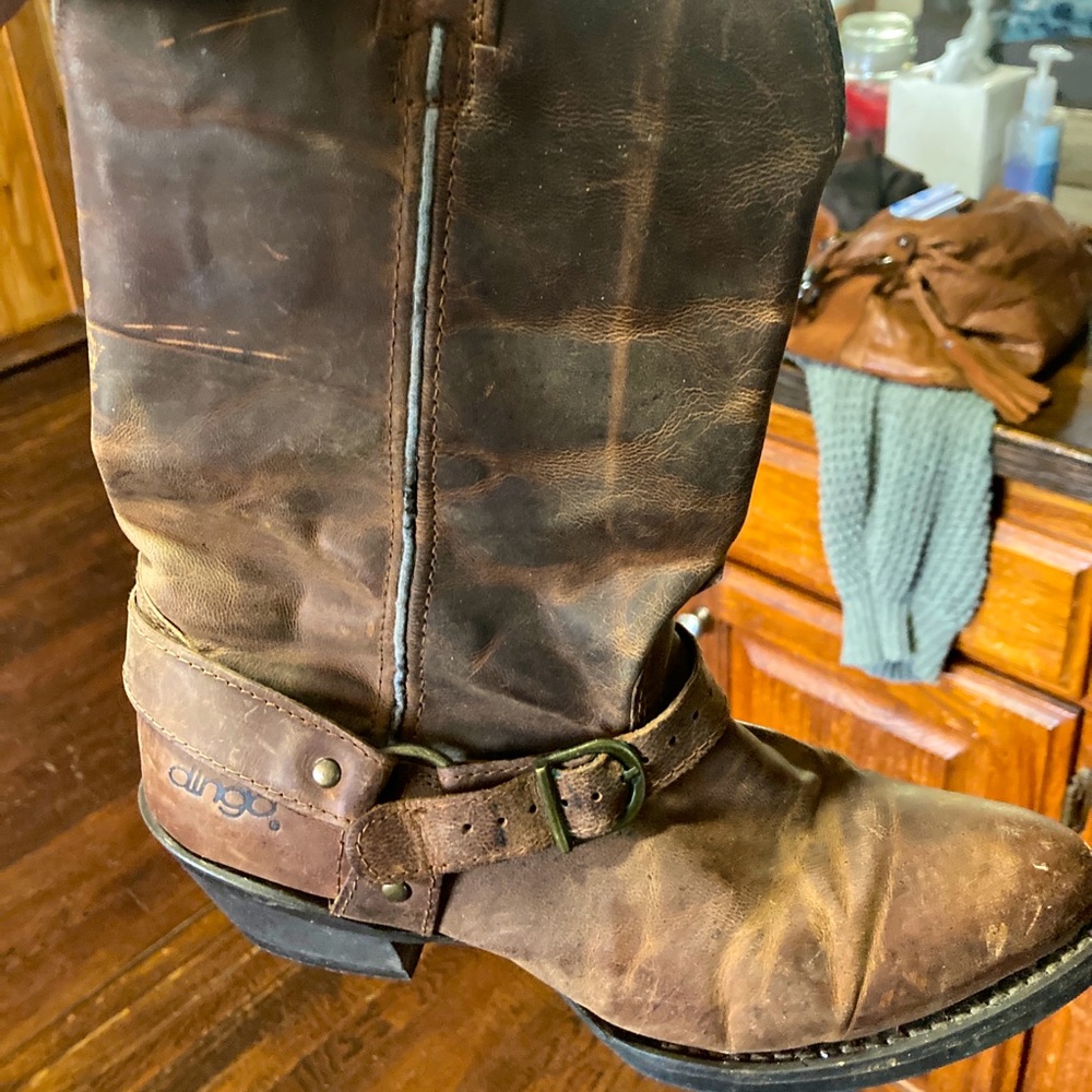 Dingo cowboy boots